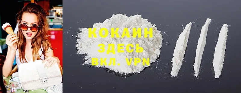 сколько стоит  Менделеевск  MEGA зеркало  Cocaine Fish Scale 